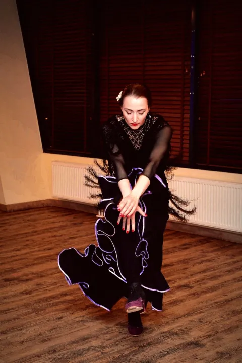 RENGINYS VIVA LA VITA 2016 02 20, nuotrauka 7 iš 24