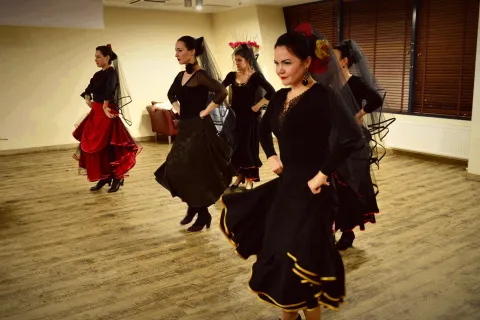 RENGINYS VIVA LA VITA 2016 02 20, nuotrauka 12 iš 24