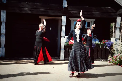 Renginys Terra Flamenko 2016 06 11, nuotrauka 55 iš 140