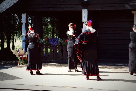 Renginys Terra Flamenko 2016 06 11, nuotrauka 64 iš 140