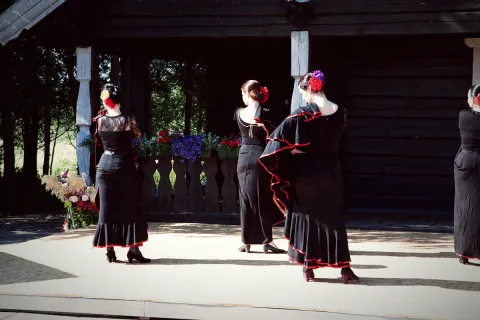 Renginys Terra Flamenko 2016 06 11, nuotrauka 63 iš 140