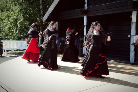 Renginys Terra Flamenko 2016 06 11, nuotrauka 77 iš 140