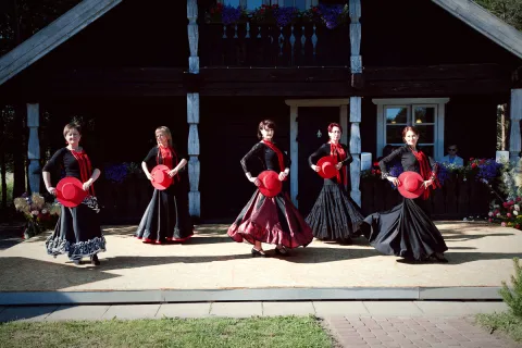 Renginys Terra Flamenko 2016 06 11, nuotrauka 82 iš 140