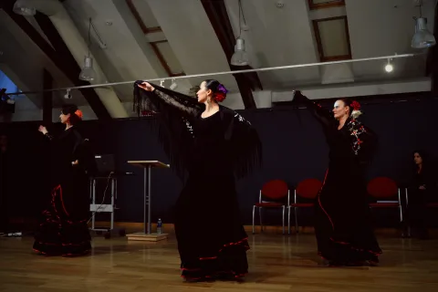 Seminaras “Žinomas ir nežinomas flamenko” 2016 10 07, nuotrauka 7 iš 41