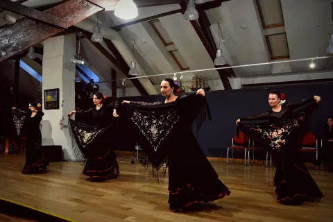 Seminaras “Žinomas ir nežinomas flamenko” 2016 10 07, nuotrauka 10 iš 41