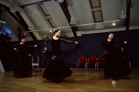 Seminaras “Žinomas ir nežinomas flamenko” 2016 10 07, nuotrauka 11 iš 41
