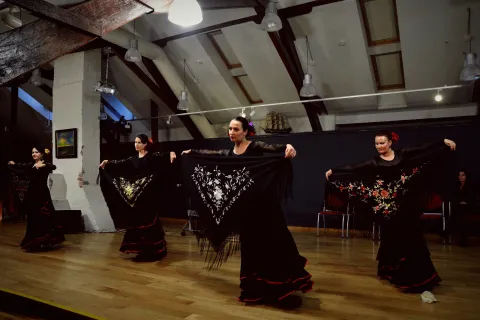 Seminaras “Žinomas ir nežinomas flamenko” 2016 10 07, nuotrauka 12 iš 41
