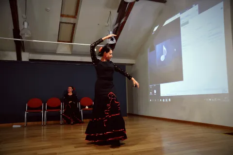Seminaras “Žinomas ir nežinomas flamenko” 2016 10 07, nuotrauka 15 iš 41