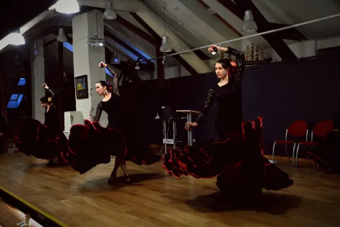 Seminaras “Žinomas ir nežinomas flamenko” 2016 10 07, nuotrauka 17 iš 41