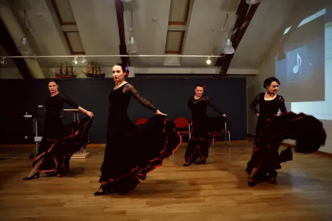 Seminaras “Žinomas ir nežinomas flamenko” 2016 10 07, nuotrauka 31 iš 41