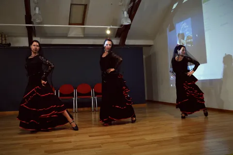 Seminaras “Žinomas ir nežinomas flamenko” 2016 10 07, nuotrauka 39 iš 41