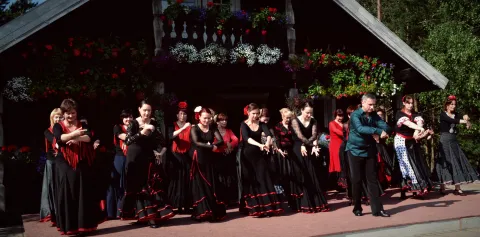Duende jubiliejinis 10-ečio renginys Poškinėje 2017-06-17, nuotrauka 24 iš 292