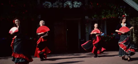 Duende jubiliejinis 10-ečio renginys Poškinėje 2017-06-17, nuotrauka 47 iš 292