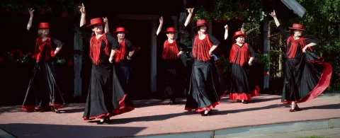 Duende jubiliejinis 10-ečio renginys Poškinėje 2017-06-17, nuotrauka 58 iš 292