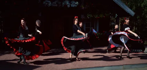 Duende jubiliejinis 10-ečio renginys Poškinėje 2017-06-17, nuotrauka 60 iš 292