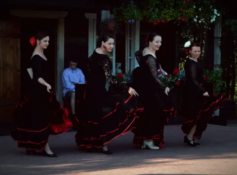 Duende jubiliejinis 10-ečio renginys Poškinėje 2017-06-17, nuotrauka 138 iš 292